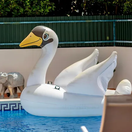 Spacious House With Pool